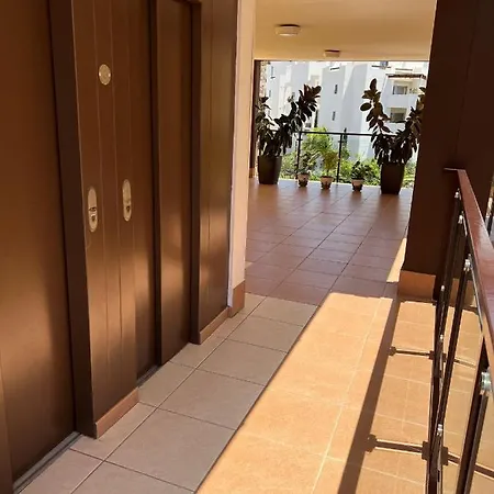 Premium In Mar Palm-mar