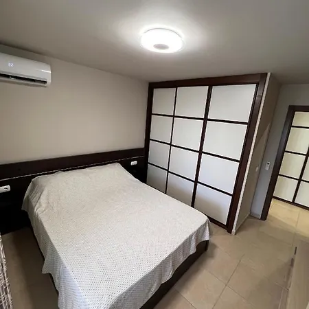 Premium In Mar Palm-mar