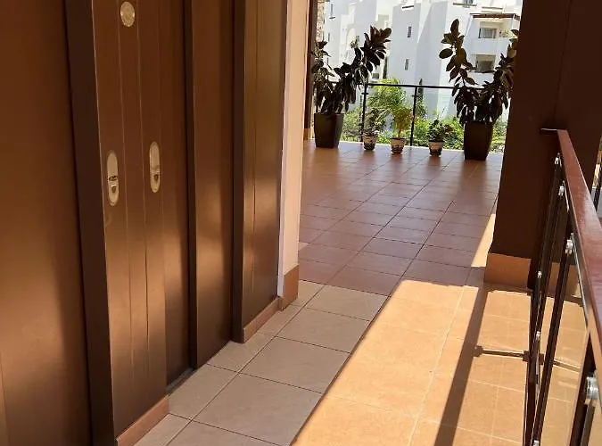 Premium In Mar パルム・マール